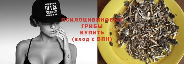 круглые Алзамай