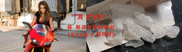 индика Алексин