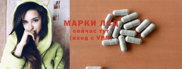 индика Алексин
