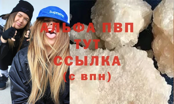 индика Алексин
