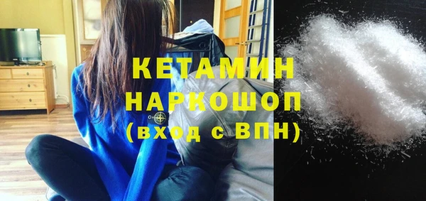 индика Алексин
