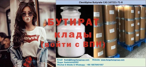 индика Алексин