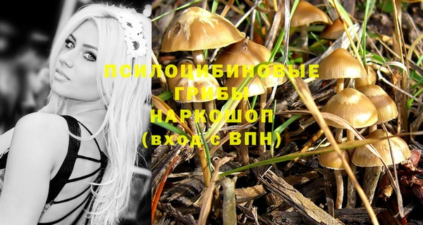 индика Алексин